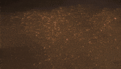 Sara Sanjay GIF by Jio Studios
