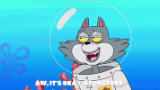 season 9 episode 10 GIF by SpongeBob SquarePants