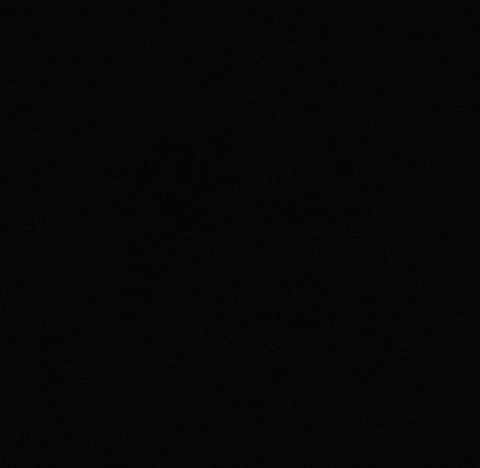 Happy Birthday Party GIF