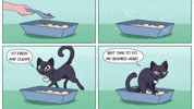 Memecat Catdad GIF