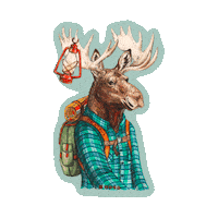 Moose Lantern Sticker by nosopatches