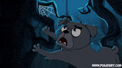 scared puppy GIF by Pugatory