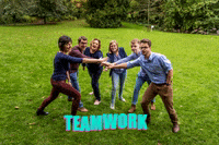 SocialeMediaBuro team teamwork collegas collegues GIF