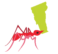 Ant Vermont Sticker by Montshire Museum of Science