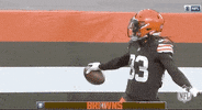Regular Season Football GIF by NFL