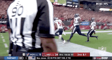 Arizona Cardinals Football GIF by NFL