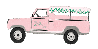 Palm Beach Defender Sticker by The Colony Palm Beach