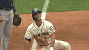 Major League Baseball Sport GIF by MLB