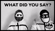 What Did You Say GIF by Stick Up Music