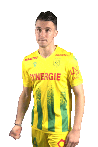 Ligue 1 Football Sticker by FCNantes