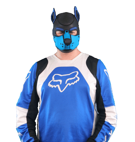 Blue Fox Sticker
