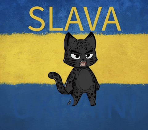 Ukraine Bravery GIF by Hero Galaxy NFT