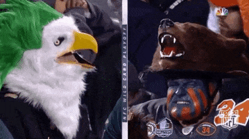 2018 Nfl Football GIF by NFL