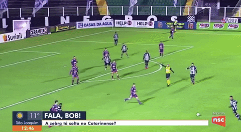 nsctotal giphygifmaker GIF