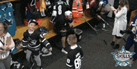 ice hockey sport GIF by NHL