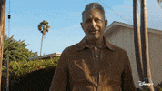Jeff Goldblum Dogs GIF by National Geographic Channel
