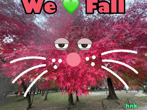 Fall Love GIF by KaoruHironaka
