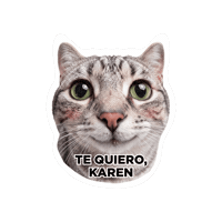 Seguroesporminino Sticker by Minino Plus®