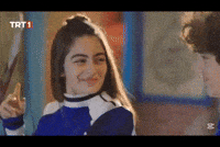 Sinan Karayaman GIF