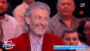 happy gilles verdez GIF by C8