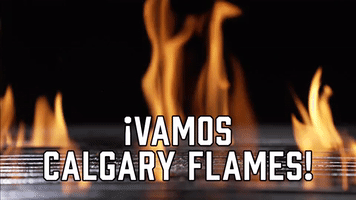 ยกVamos Calgary Flames!