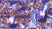 Football Fans GIF by FC Schalke 04