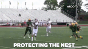football ncaa GIF by Brockport