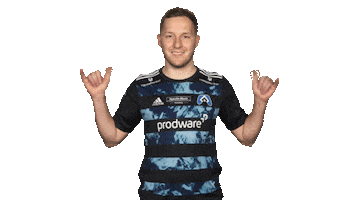 Hamburger Sv Sign Sticker by Bundesliga