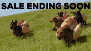 hot dog dachshund GIF by beangoods