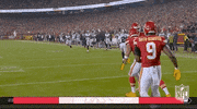 Travis Kelce Football GIF by NFL
