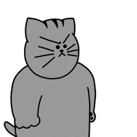 Cat Love GIF