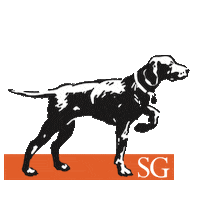thesolloggroup the sollog group Sticker