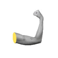 comomag power tattoo muscle strength Sticker