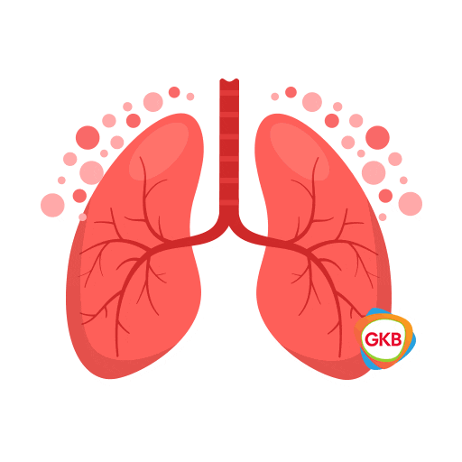 Health Supplement Sticker by GKB