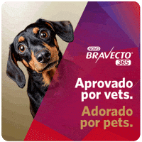 Bravecto GIF by MSD Família Pet