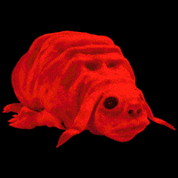 Sad Creature GIF