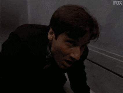 x files GIF by The X-Files
