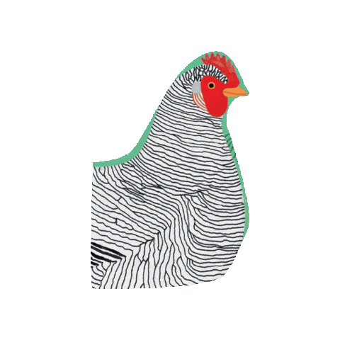 PAPress giphygifmaker chicken cartoon chicken camilla pintonato Sticker