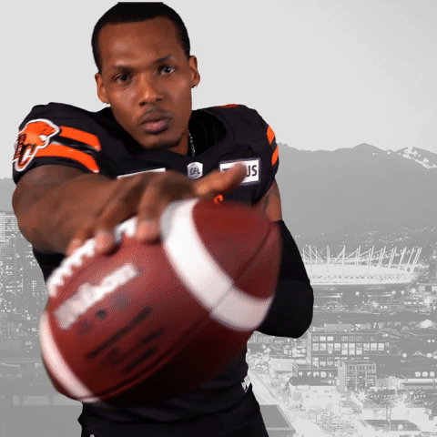 BC Lions Dom Davis TD Touchdown