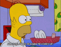 homer simpson episode 24 GIF
