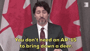 Justin Trudeau GIF by GIPHY News