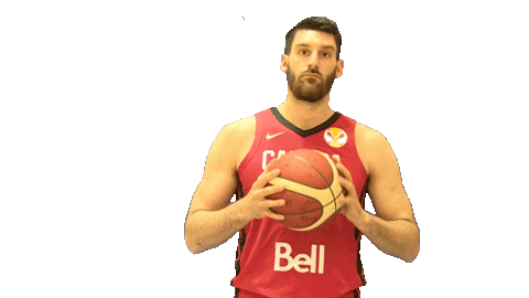 Nick Nurse Game Sticker by FIBA