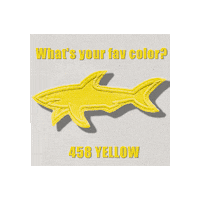 Color Shark Sticker by Paul&Shark