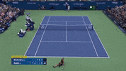 GIF by ATP Tour