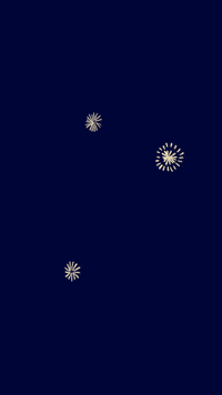Fireworks Bonneannee GIF by Season Paper Collection