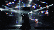 Dragula GIF by BouletBrothersDragula