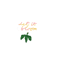 Handmadetohappiness flower flowers plant bloom Sticker