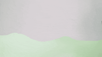 Russell Wilson Football GIF by Seattle Seahawks