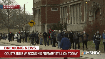 Wisconsin Primary GIF by GIPHY News
