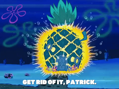 season 5 GIF by SpongeBob SquarePants